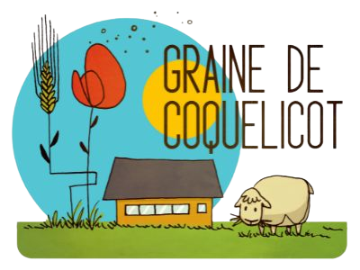 Graine de Coquelicot